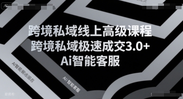 跨境私域线上高级课程，跨境私域极速成交3.0+Ai智能客服-非凡网-资源网-最新项目分享网站