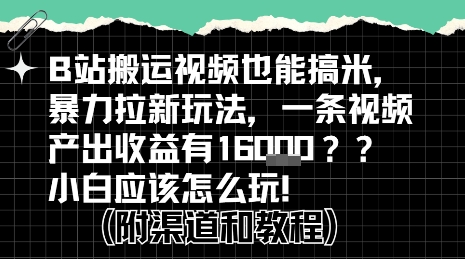 b站掘金计划？搬运视频也能挣拉新的收益，小白应该怎么玩！-非凡网-资源网-最新项目分享网站