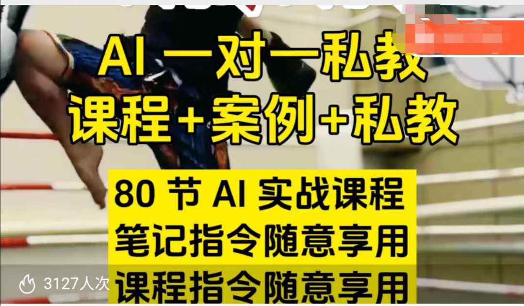 AI指令实战课，课程+案例，80节AI实战课程，笔记指令随意享用，课程指令随意享用(更新7月)-非凡网-资源网-最新项目分享网站