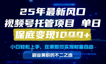25年最新风口，视频号托管项目，单日保底变现1k+，手把手教学【揭秘】-非凡网-资源网-最新项目分享网站