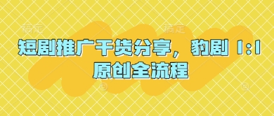 短剧推广干货分享，豹剧 1:1原创全流程-非凡网-资源网-最新项目分享网站