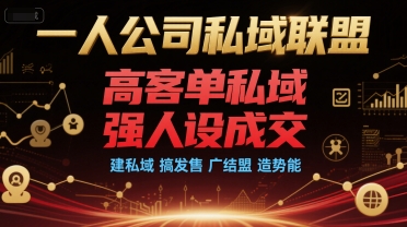 一人公司私域联盟，高客单私域，强人设成交，建私域 搞发售 广结盟 造势能-非凡网-资源网-最新项目分享网站