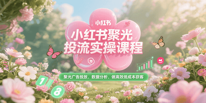 小红书聚光投流实操课程，聚光广告投放、数据分析、做高效低成本获客-非凡网-资源网-最新项目分享网站