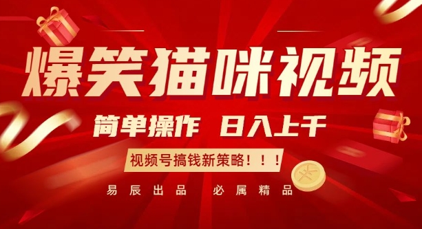 爆笑猫咪视频：简单操作，日入过K，视频号搞钱新策略【揭秘】-非凡网-资源网-最新项目分享网站