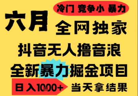 25年6月高爆抖音无人直播最新撸音浪掘金项目，小白可做，无脑日入1k+，门槛低可批量矩阵【揭秘】-非凡网-资源网-最新项目分享网站