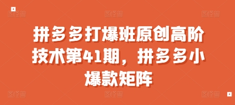 拼多多打爆班原创高阶技术第41期，拼多多小爆款矩阵-非凡网-资源网-最新项目分享网站