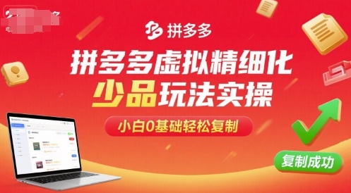 拼多多虚拟精细化少品玩法实操，小白0基础轻松复制-非凡网-资源网-最新项目分享网站