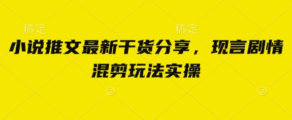 小说推文最新干货分享，现言剧情混剪玩法实操-非凡网-资源网-最新项目分享网站