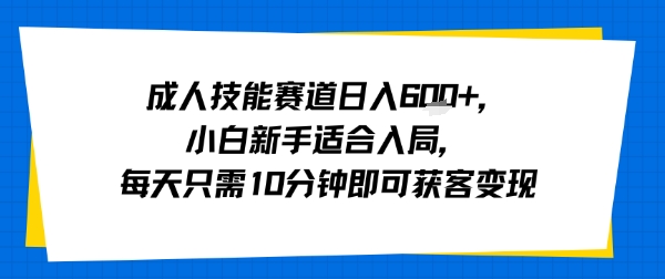 成人技能赛道日入多张，小白新手适合入局，每天只需10分钟即可获客变现-非凡网-资源网-最新项目分享网站