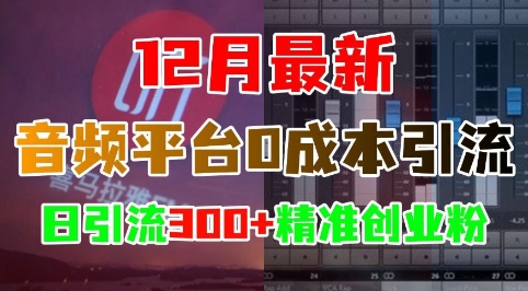 12月最新：音频平台0成本引流，日引流300+精准创业粉-非凡网-资源网-最新项目分享网站
