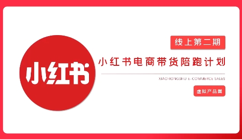 2025小红书虚拟电商实战课，从0到1打造无货源店铺，AI+爆款笔记轻松变现-非凡网-资源网-最新项目分享网站
