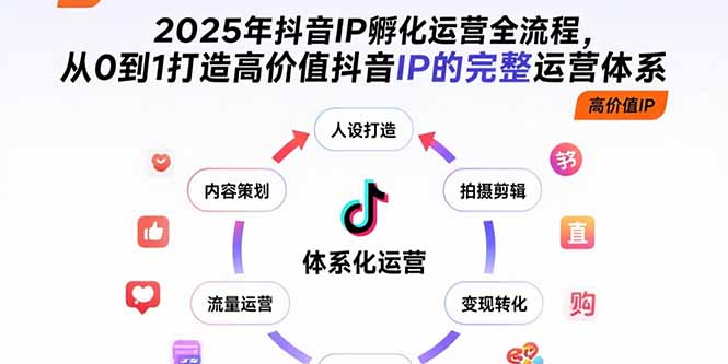 2025年抖音IP孵化运营全流程，从0到1打造高价值抖音IP的完整运营体系-非凡网-资源网-最新项目分享网站