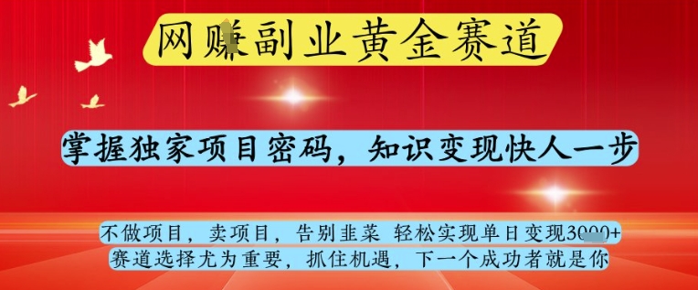 网创副业黄全赛道，掌握独家项目密码，知识变现快人一步，告别韭菜轻松实现单日变现1k+【揭秘】-非凡网-资源网-最新项目分享网站