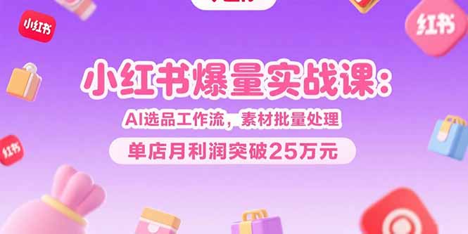 小红书爆量实战课：AI选品工作流，素材批量处理，单店月利润突破25万元-非凡网-资源网-最新项目分享网站