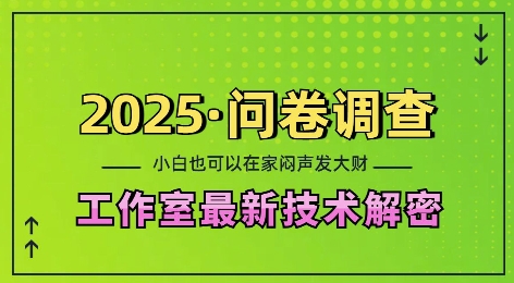 2025问卷调查最新工作室技术解密：一个人在家也可以闷声发大财，小白一天2张，可矩阵放大【揭秘】-非凡网-资源网-最新项目分享网站