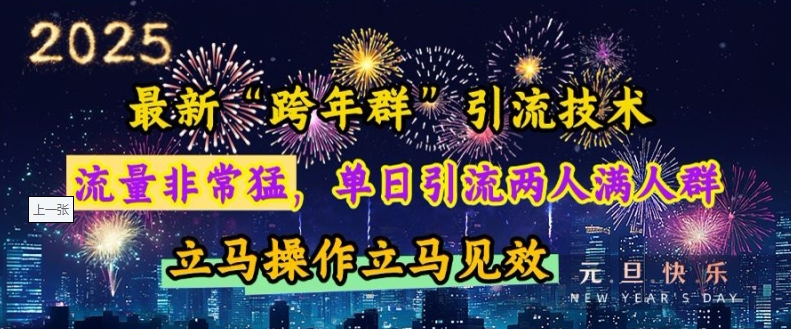 最新“跨年群”引流，流量非常猛，单日引流两人满人群，立马操作立马见效【揭秘】-非凡网-资源网-最新项目分享网站