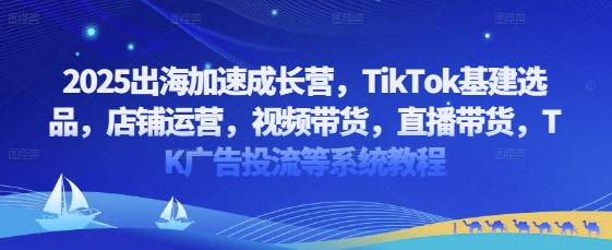 2025出海加速成长营，TikTok基建选品，店铺运营，视频带货，直播带货，TK广告投流等系统教程-非凡网-资源网-最新项目分享网站
