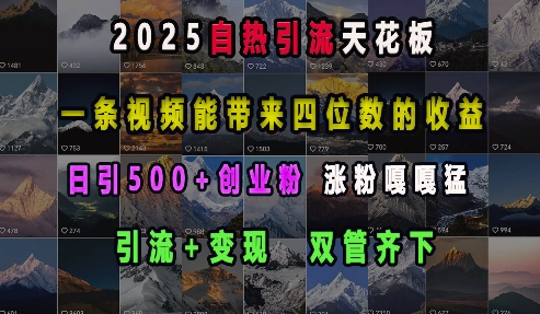 2025自热引流天花板，一条视频能带来四位数的收益，引流+变现双管齐下，日引500+创业粉，涨粉嘎嘎猛-非凡网-资源网-最新项目分享网站