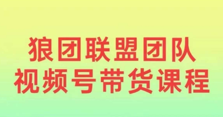 狼团联盟2024视频号带货，0基础小白快速入局视频号-非凡网-资源网-最新项目分享网站