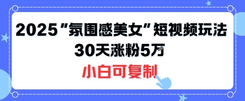 不露脸也能火！2025“氛围感美女”短视频玩法，30天涨粉5W小白可复制-非凡网-资源网-最新项目分享网站