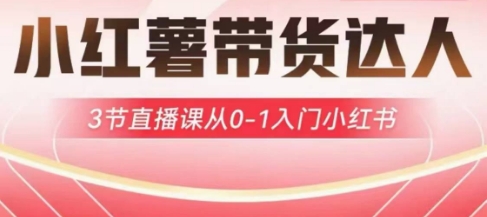 小红薯达人带货启航计划，3节直播课从0-1入门小红书-非凡网-资源网-最新项目分享网站