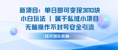新项目单日即可变现3张的小白玩法无脑操作不封号安全引流-非凡网-资源网-最新项目分享网站