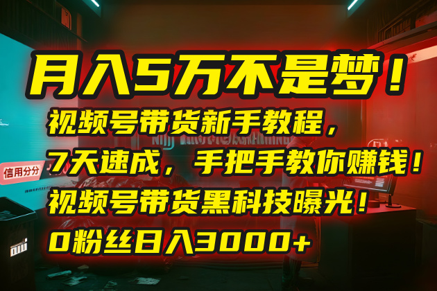 月入5万不是梦！视频号带货新手教程，7天速成，手把手教你赚钱！视频号…-非凡网-资源网-最新项目分享网站
