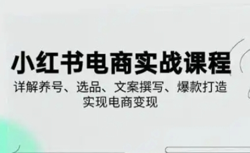 小红书从0-1实操课(2023-2025)，详解养号、选品、文案撰写、爆款打造实现电商变现-非凡网-资源网-最新项目分享网站