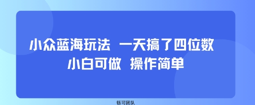 小众蓝海玩法 一天搞了四位数 小白可做 操作简单-非凡网-资源网-最新项目分享网站