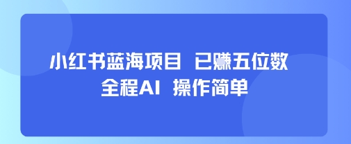 小红书蓝海项目，全程AI，操作简单，已挣五位数-非凡网-资源网-最新项目分享网站