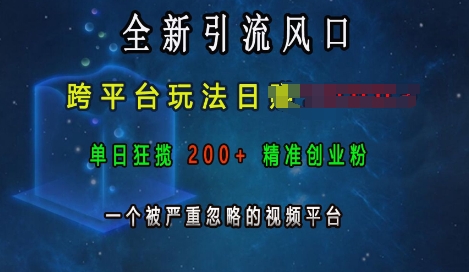 全新引流风口，跨平台玩法日入上k，单日狂揽200+精准创业粉，一个被严重忽略的视频平台-非凡网-资源网-最新项目分享网站