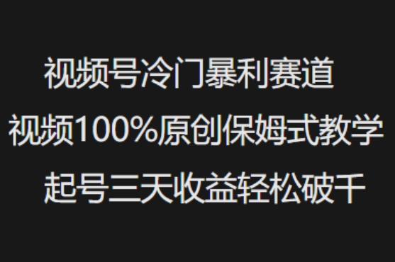 视频号冷门暴利赛道视频100%原创保姆式教学起号三天收益轻松破千-非凡网-资源网-最新项目分享网站