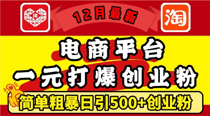 12月最新：电商平台1元打爆创业粉，简单粗暴日引500+精准创业粉，轻松月入过W【揭秘】-非凡网-资源网-最新项目分享网站