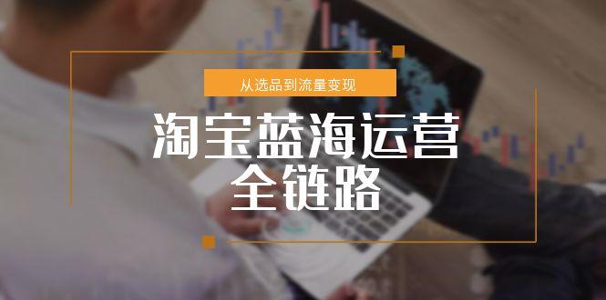淘宝蓝海运营全链路，从选品到流量变现，小类目突围完整方案-非凡网-资源网-最新项目分享网站