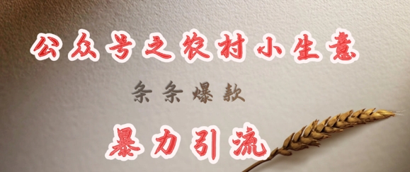 deepseek写农村小项目，条条爆款，暴力引流-非凡网-资源网-最新项目分享网站