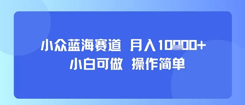 小众蓝海赛道，小白可做，操作简单，每天30分钟，月入1W+-非凡网-资源网-最新项目分享网站