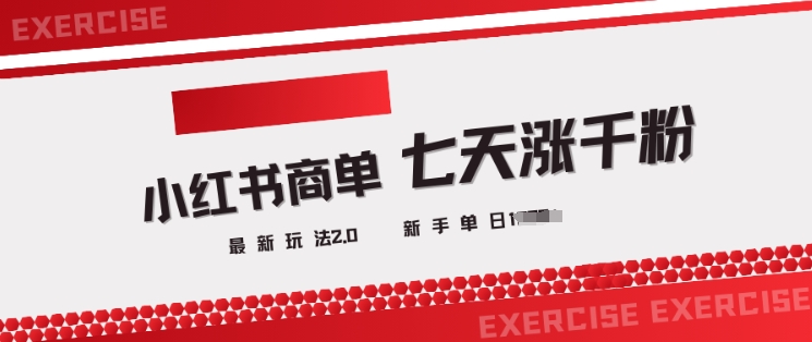 小红书商单2.0最新玩法，3天涨千粉单日变现多张-非凡网-资源网-最新项目分享网站