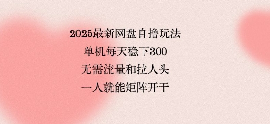2025最新网盘自撸玩法，单机每天稳下3张，无需流量和拉人头，一个人就可轻松矩阵，全网独一份【揭秘】-非凡网-资源网-最新项目分享网站