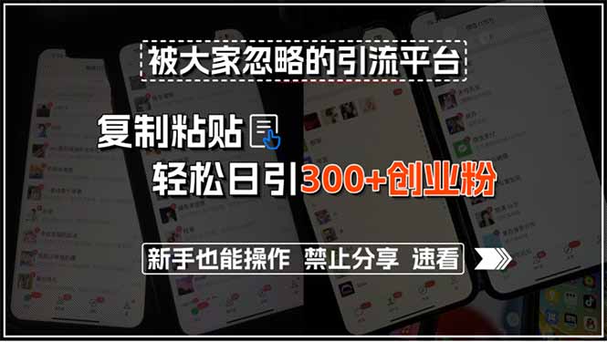 被大家忽略的引流平台，复制粘贴轻松日引300+创业粉，新手也能操作，禁…-非凡网-资源网-最新项目分享网站