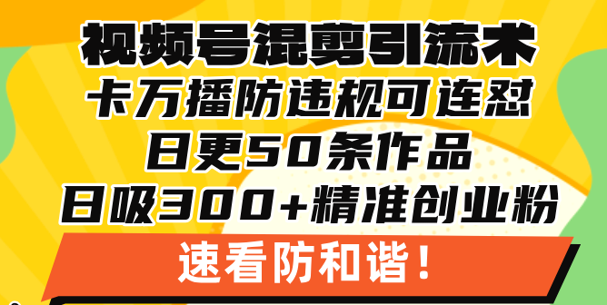 视频号混剪引流技术，500万播放引流17000创业粉，操作简单当天学会-非凡网-资源网-最新项目分享网站