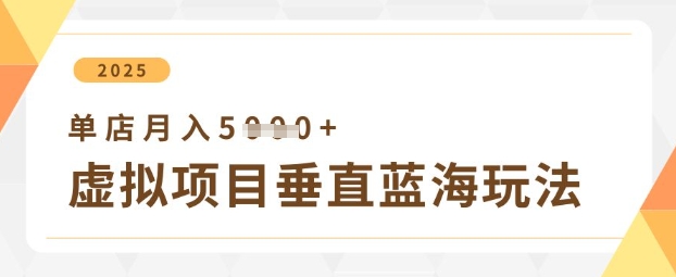 虚拟项目垂直玩法，实现单店月入5k+-非凡网-资源网-最新项目分享网站
