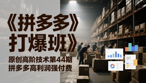 《拼多多打爆班》原创高阶技术第44期，拼多多高利润强付费-非凡网-资源网-最新项目分享网站