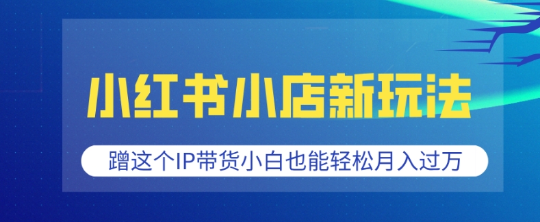 小红书小店新玩法，蹭这个IP带货，小白也能轻松月入过W【揭秘】-非凡网-资源网-最新项目分享网站