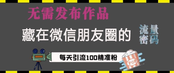藏在微信朋友圈的流量密码，无需发布作品，单日引流100+精准创业粉【揭秘】-非凡网-资源网-最新项目分享网站