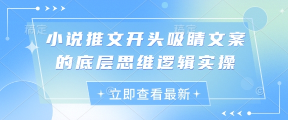 小说推文开头吸睛文案的底层思维逻辑实操-非凡网-资源网-最新项目分享网站