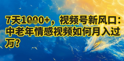 7天收益1k+，视频号新风口：中老年情感视频如何月入过W?-非凡网-资源网-最新项目分享网站