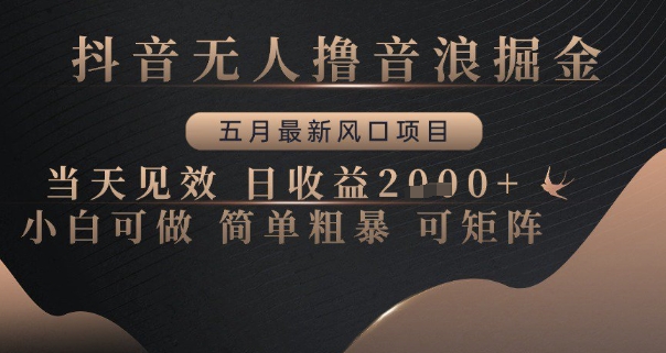 抖音无人撸音浪掘金，五月最新风口项目，当天见效，日收益多张，小白可做简单粗暴可矩阵【揭秘】-非凡网-资源网-最新项目分享网站
