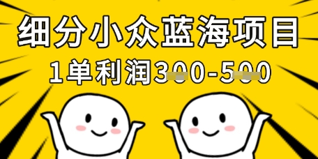 细分小众蓝海项目，一单利润3张，每月收入稳定过1w+-非凡网-资源网-最新项目分享网站