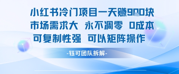 小红书冷门项目一天收益9张，市场需求大，0成本，可复制性强可以矩阵操作-非凡网-资源网-最新项目分享网站