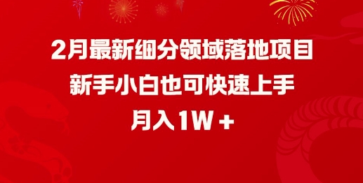 2月最新细分领域落地项目，新手小白也可快速上手，月入1W-非凡网-资源网-最新项目分享网站